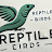 @reptilebirds110