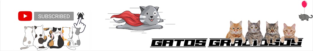 Gatos Graciosos YouTube channel avatar