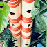 XbpNVAMujjA-channel-avatar-DPflutes | Solving Every Bansuri Problem