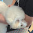 @천봉봉