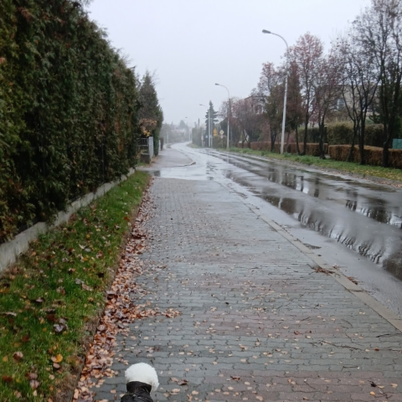 pokój w sercu