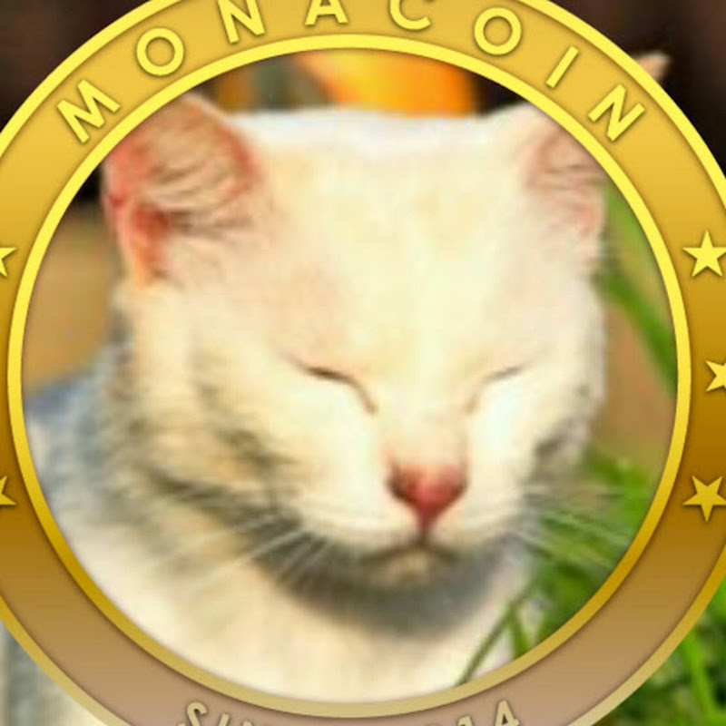 のんたろうチャンネルのサムネイル