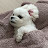 @choingtae