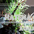 i0Szp_LPxaE-channel-avatar-HATENA CHANNEL