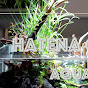 HATENA CHANNELのチャンネルアイコン