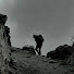 qxVGjP2jnTE-channel-avatar-Nirvik