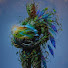 6nx_6oi51TY-channel-avatar-NaturesWisdom34