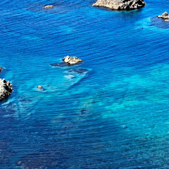 美珠会のかかり釣り