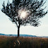 li1lNnERB3I-channel-avatar-Kinocut Studio