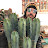 Cactus del NOA