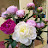 @rara-z7e