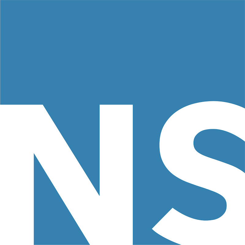 NS Partners