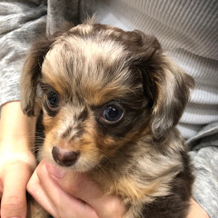 のっちゃんねる