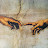 @passages_of_Faith's avatar