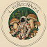 cRc9bmuNg2M-channel-avatar-Il fungonauta 
