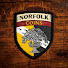 o6vcrRVCCIY-channel-avatar-Norfolk Coins