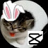eeLpSkWmKrk-channel-avatar-Catguy09