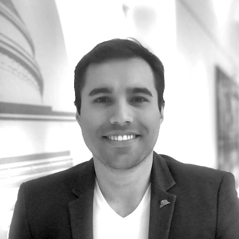 Luis R Soenksen