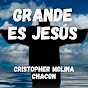 Cristopher Molina Chacon - Topic - Youtube