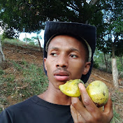 diogocabecaofc 
