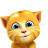 Talking ginger kids cat 