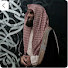 fZSp5hS2YjM-channel-avatar-Mohammad_AlLuhaidan