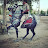 Iranian horse اسب اصیل ایرانی