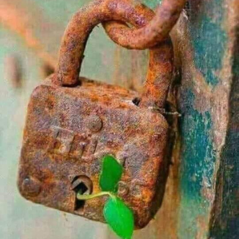 Niheniyen Serkeftine