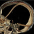 RsjSCvpt7CI-channel-avatar-Radiology Lectures