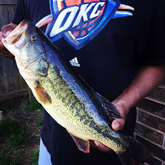 Bass N Buds- Mike