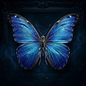 BLUEMORPHO