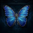 uNHdfWeDTo0-channel-avatar-BLUEMORPHO