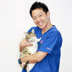 【MAHチャンネル】宮田動物病院