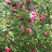 @user-dl8nb1wv3g