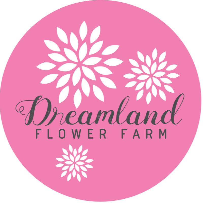 Dreamland Flower Farm