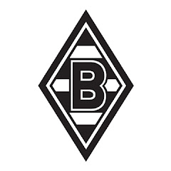 Borussia Mönchengladbach net worth