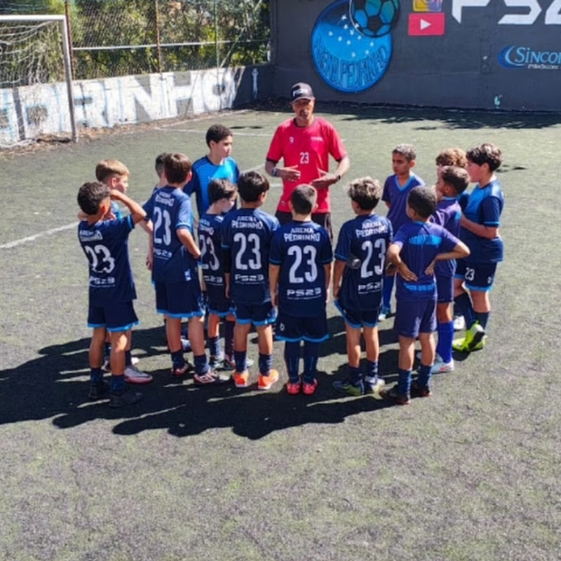 PS23 SOCCER FUNDAMENTOS ARENA PEDRINHO