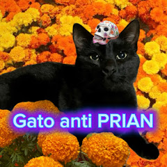El gato anti PRIAN👾😼