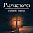 Plavuchovci - Topic