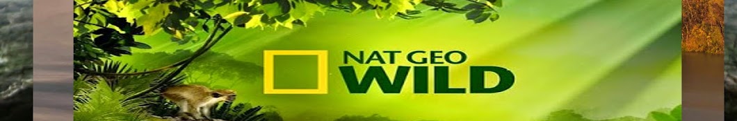 Nat Geo Аватар канала YouTube