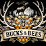 R2bL4rCAYP4-channel-avatar-Bucks & Bees