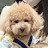 @벼리사랑-n9p