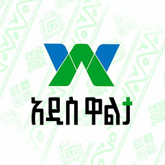 Walta TV net worth