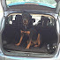 q4dcH32K2qk-channel-avatar-Rottie Man