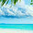 @소나무-v3l