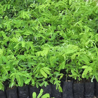 Profile Picture of SummerSchott