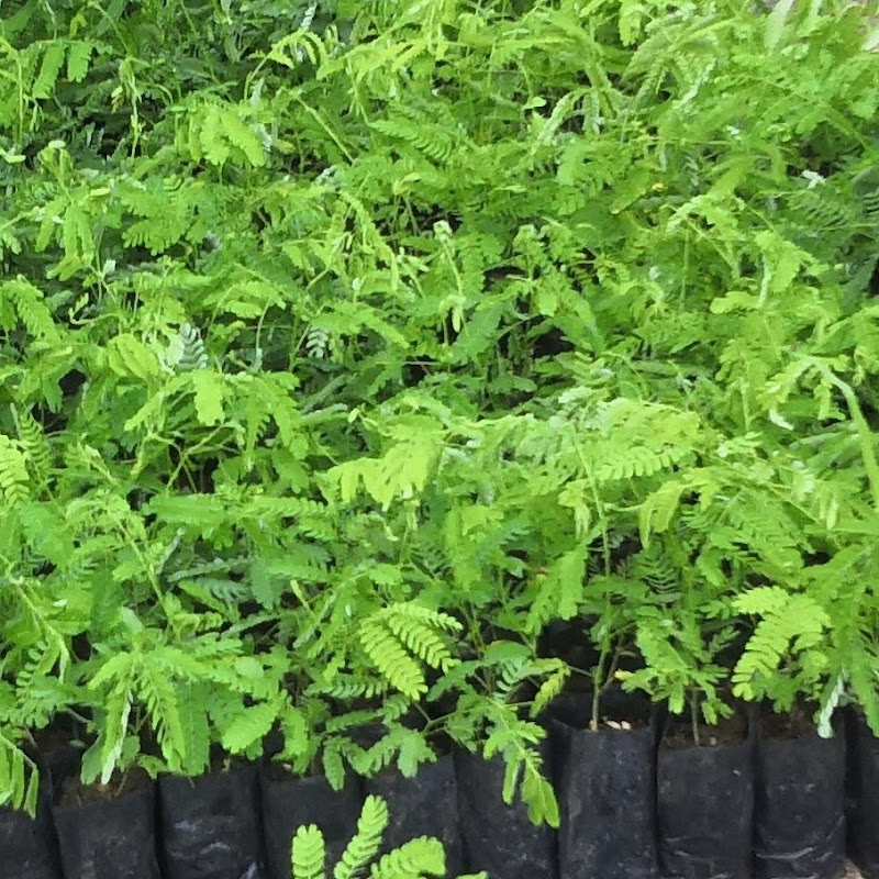 Profile Banner of SummerSchott