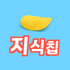 지식칩