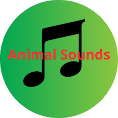 Animal Sounds