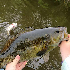 MNFishen